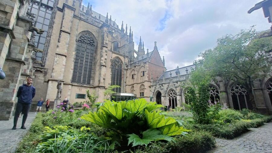 Utrecht: Guided Highlights Walking Tour - Utrecht’s canals, lower streets, and old city defenses
