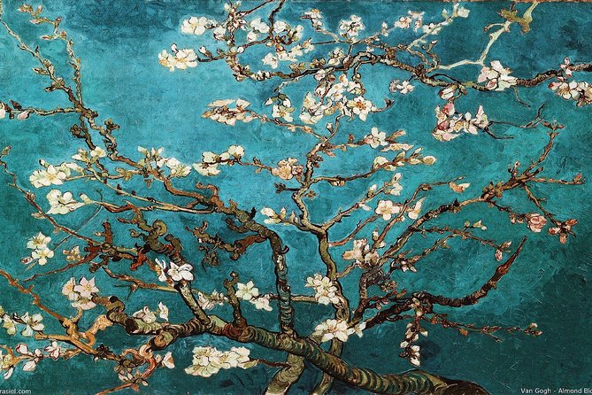 Van Gogh Museum Amsterdam Exclusive Tour w/ Reserved Entry - Bags, clothing, and access details