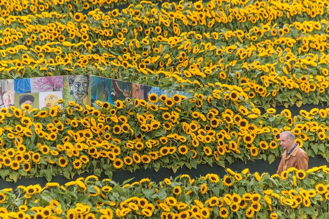 Van Gogh Museum Skip the Queue with Audio Guide - Who will enjoy this independent audio visit?