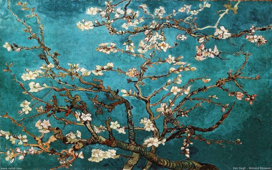Van Gogh & Rijksmuseum Masterpieces Guided Tour 8 guests 5h - Is $281 a fair price?
