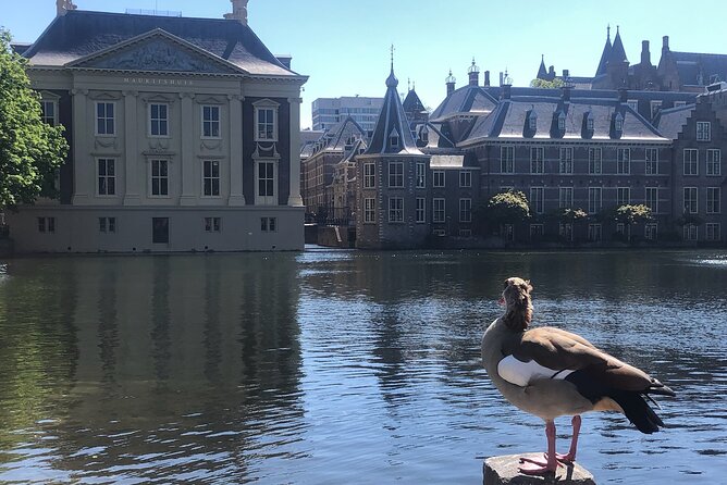 Visit the Girl with the Pearl Earring, The Hague & Delft City - Mauritshuis: the day’s artistic center