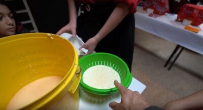 2.5-Hour Cheesemaking Workshop & Clog Making Tour