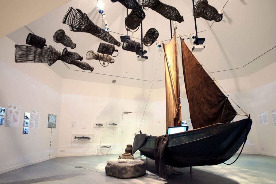 Werkendam: Boat Cruise and Biesbosch Museum Entry Ticket - A Boat Ride Into De Biesbosch