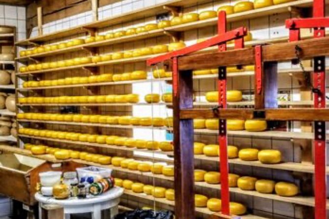 Windmills Country side tour Zaanse Schans-Cheesefactory-Volendam - Who Will Enjoy This Best?