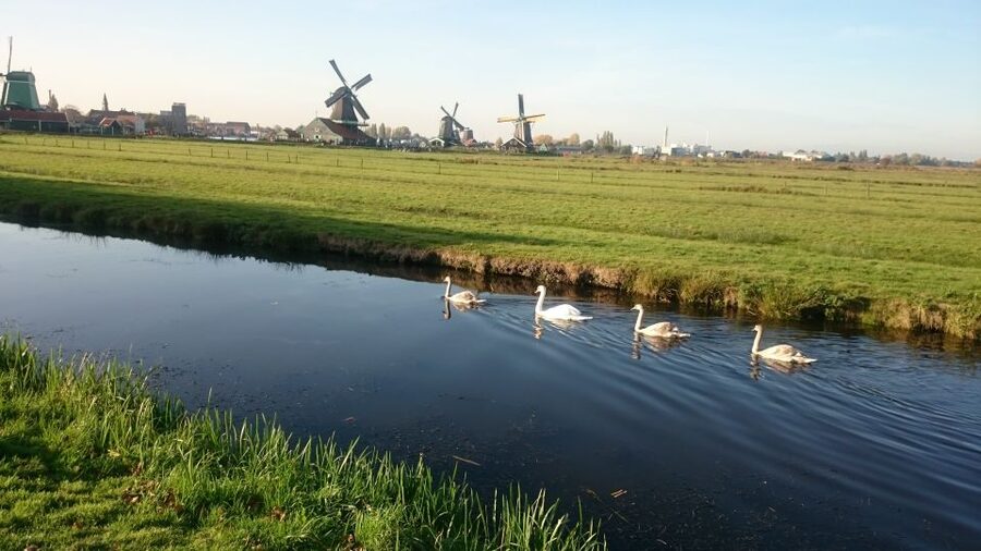Zaanse Schans Windmills 4-Hour Tour in Italian - The return to Amsterdam and optional LEGO houses